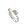 Atomic Micro Labradorite Silver Ring - Native Self