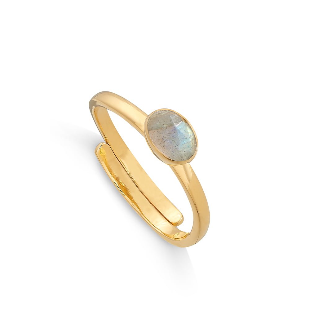 Atomic Micro Labradorite Gold Ring - Native Self