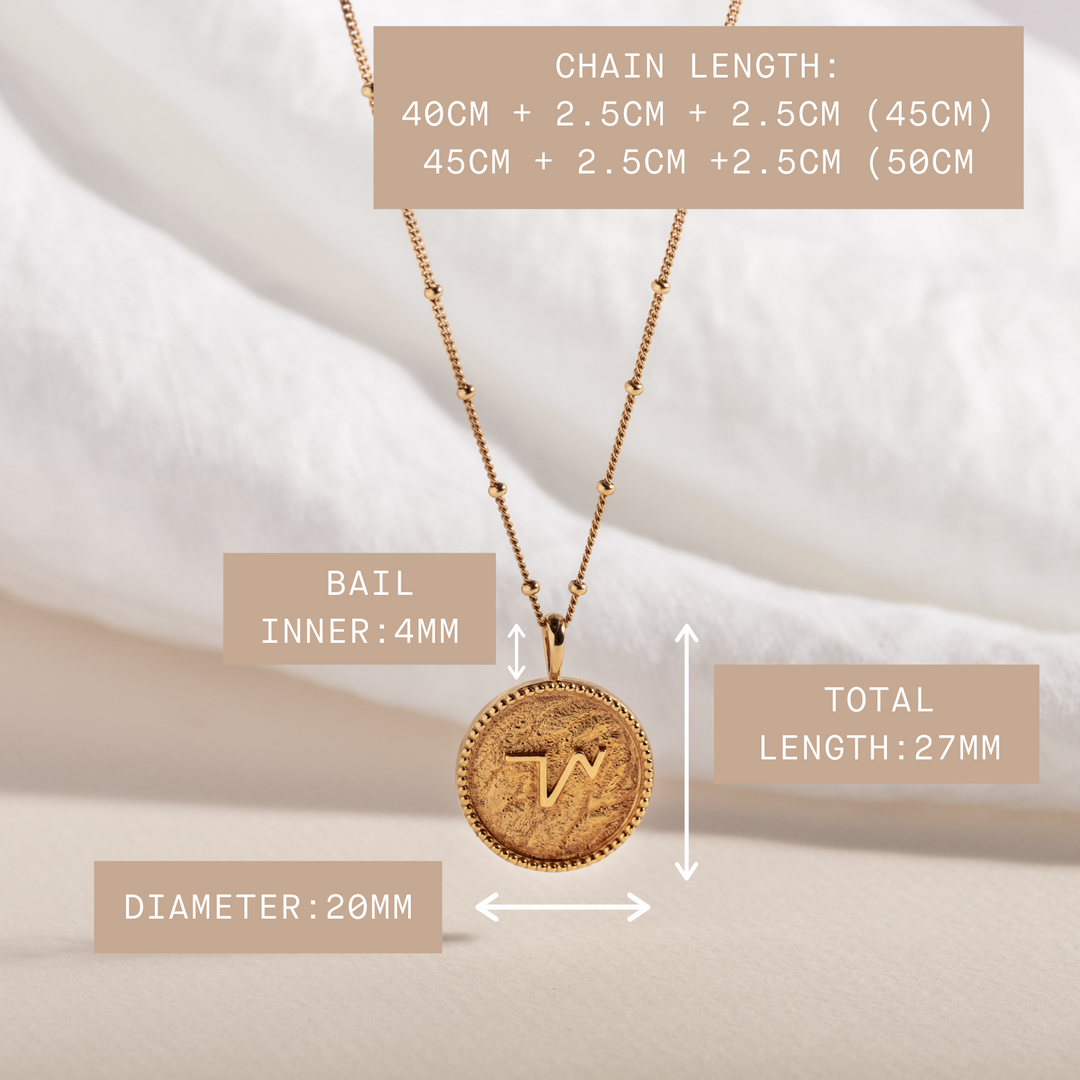 Claire_Hill_Designs_Gold_Vermeil_Shorthand_Coin_Pendant_Neck.png